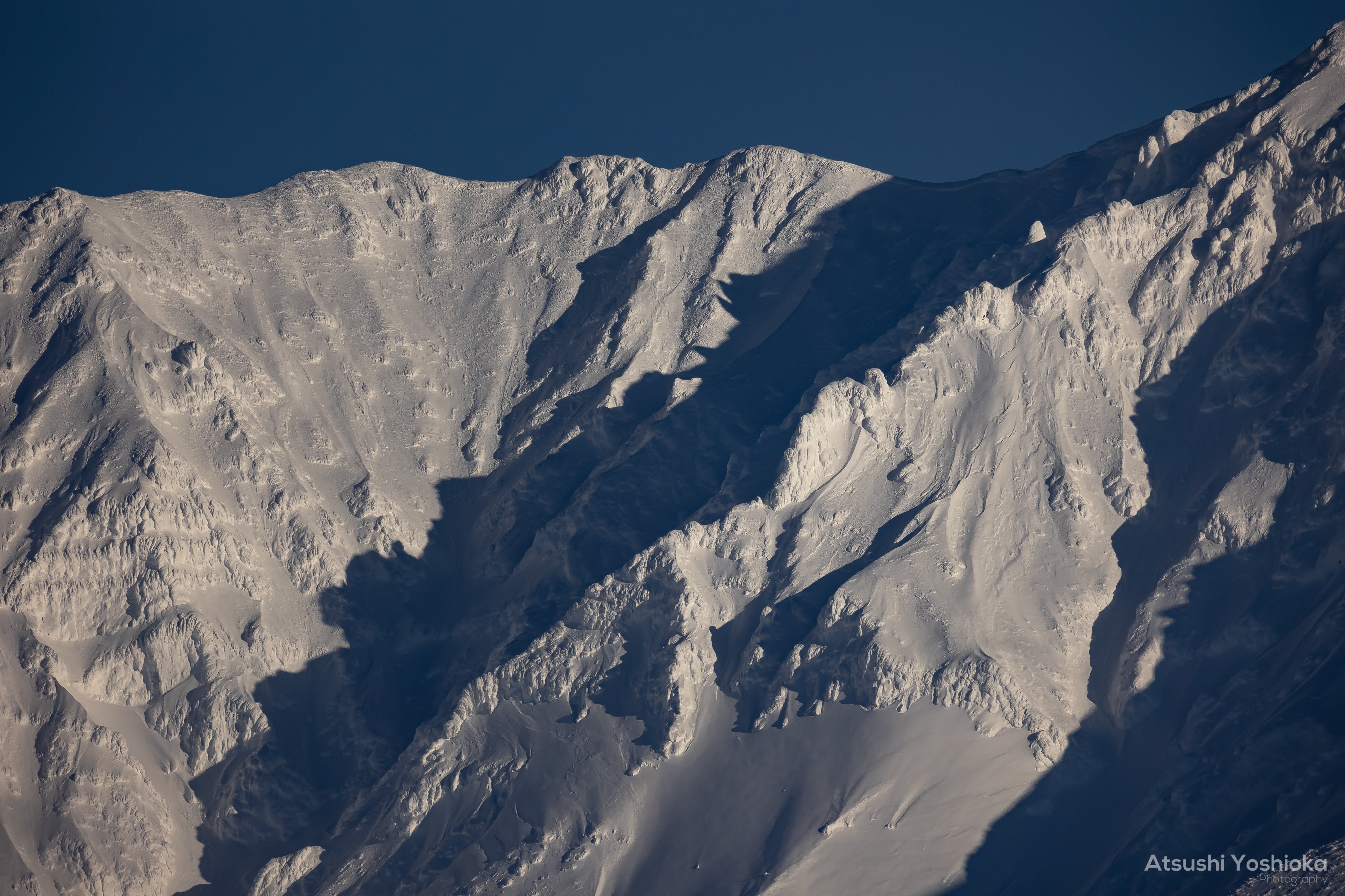 [レンタル] CANON RF800mm F11 IS STM 単焦点レンズ - 9