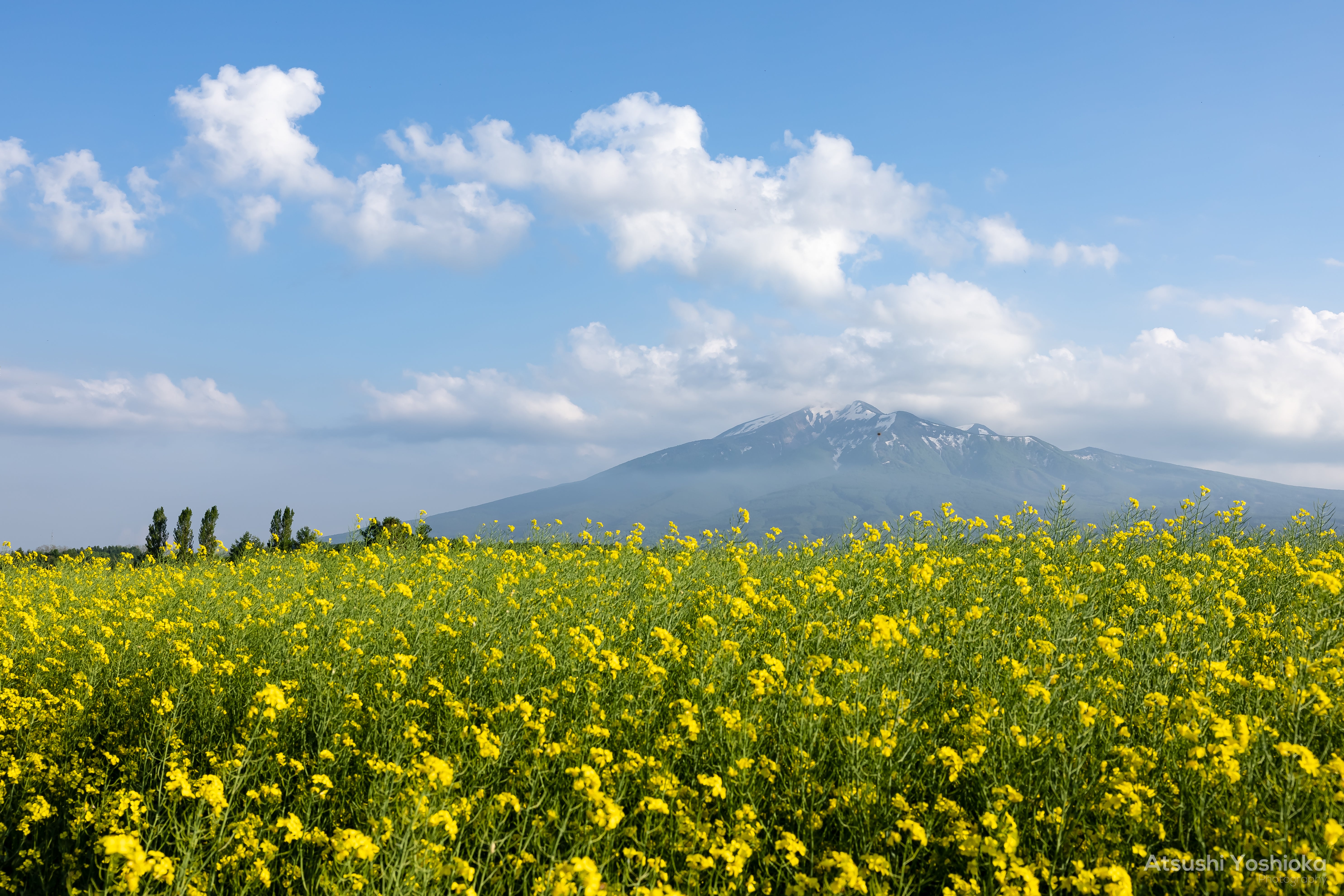 [レンタル] CANON EOS R3 ボディ ミラーレス一眼 - 6