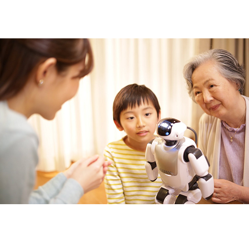 [レンタル] Palmi (パルミー) 二足歩行 コミュニケーション ロボット - 2