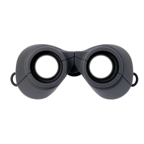 [レンタル] [倍率10倍]ビクセン SW10×25WP 防水双眼鏡 - 4