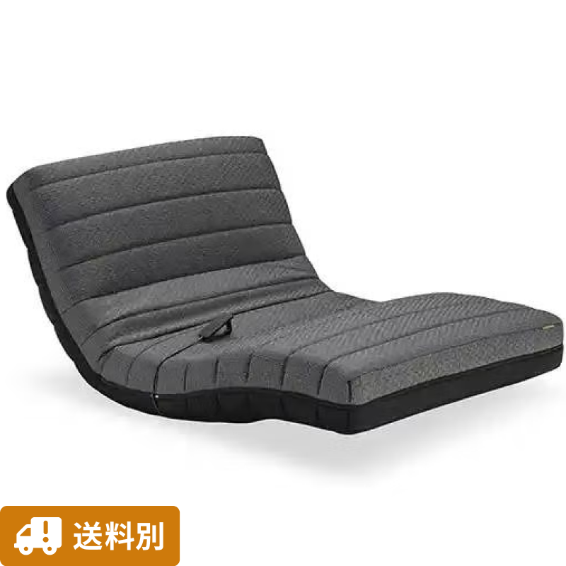 [レンタル] 【送料別 / セミダブル】フランスベッド 電動リクライニングマットレス ルーパームーブRP-3000 セミダブルサイズ