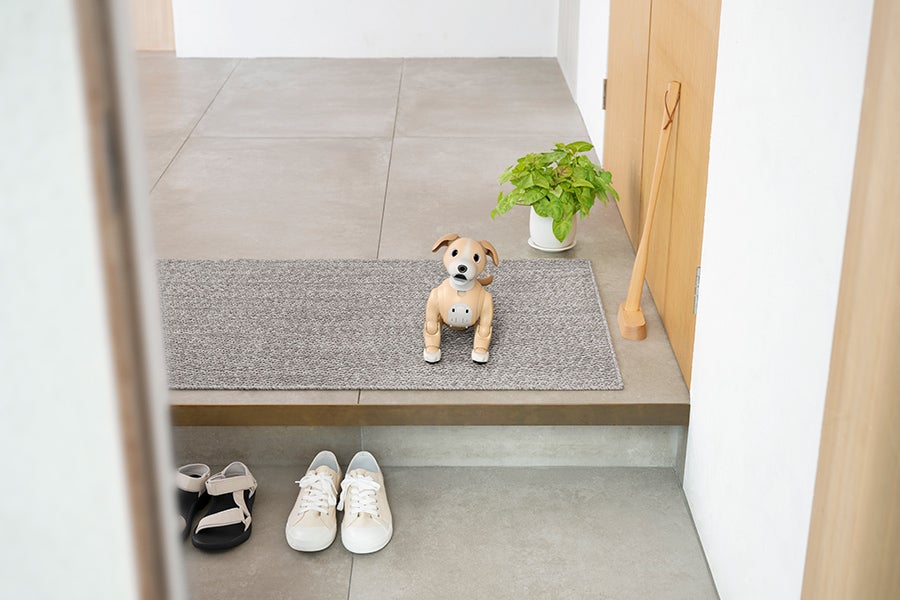 [レンタル] ソニー エンタテインメントロボット aibo きなこエディション 足裏パッド付き - 6