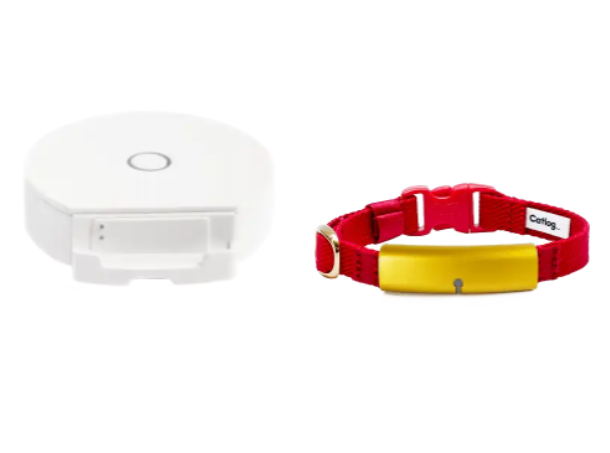 Catlog（ゴールド）＋＋Board 3点セット 週末限定値下げ！ Catlog（キャトログ） on X: 