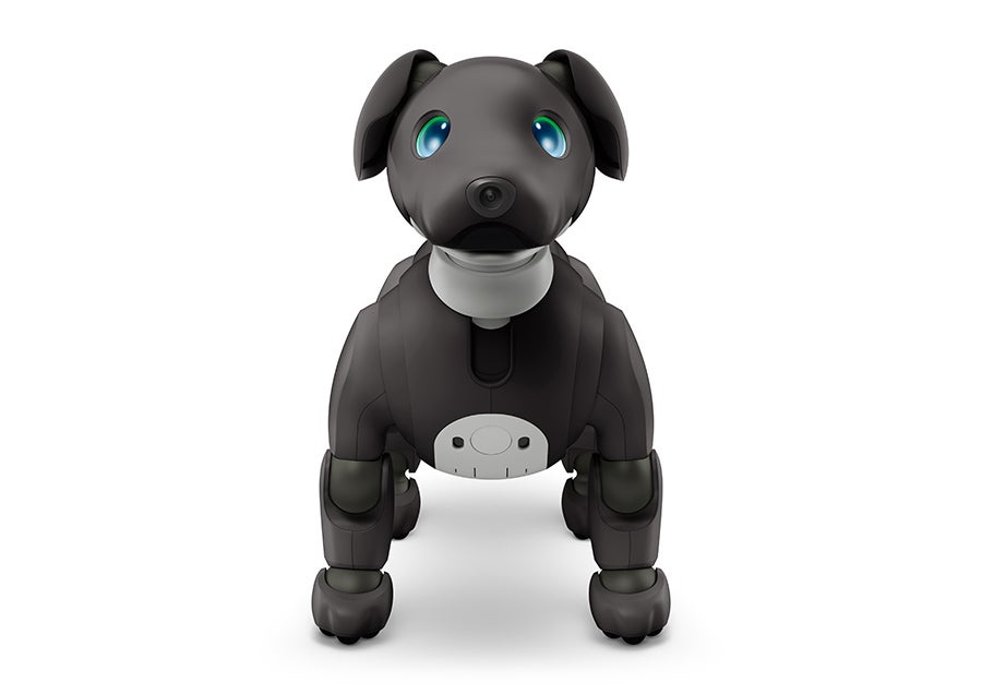 [レンタル] ソニー エンタテインメントロボット aibo エスプレッソエディション 足裏パッド付き - 3