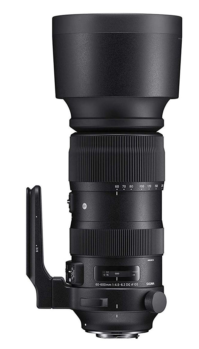 [レンタル] シグマ 60-600mm F4.5-6.3 DG OS HSM Sports 望遠ズームレンズ (NIKON Fマウント) 730550 - 3