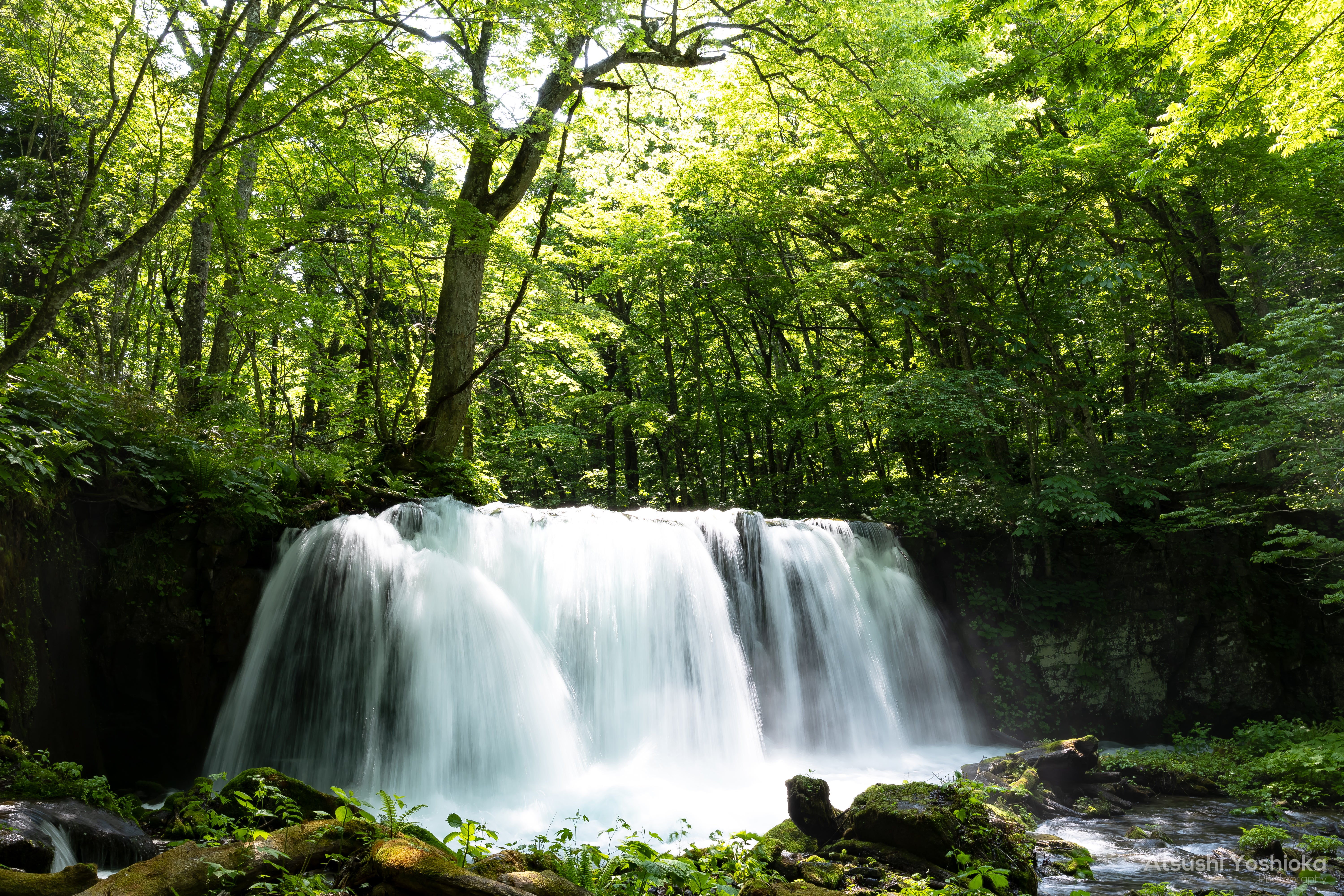 [レンタル] CANON EOS R3 ボディ ミラーレス一眼 - 8