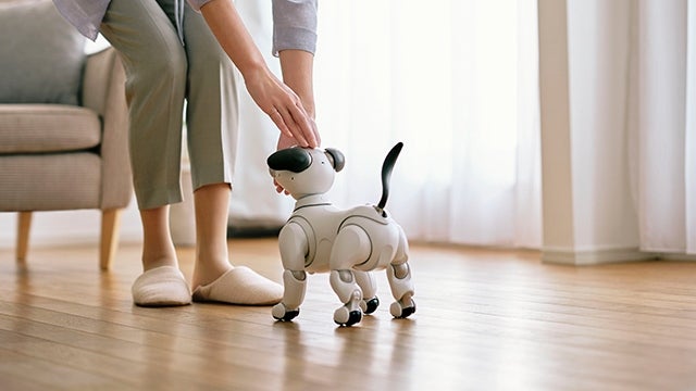 [レンタル] ソニー エンタテインメントロボット aibo アイボリーホワイト 足裏パッド付き - 8