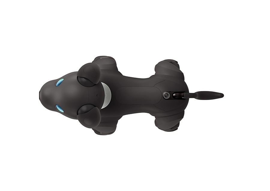 [レンタル] ソニー エンタテインメントロボット aibo エスプレッソエディション 足裏パッド付き - 6