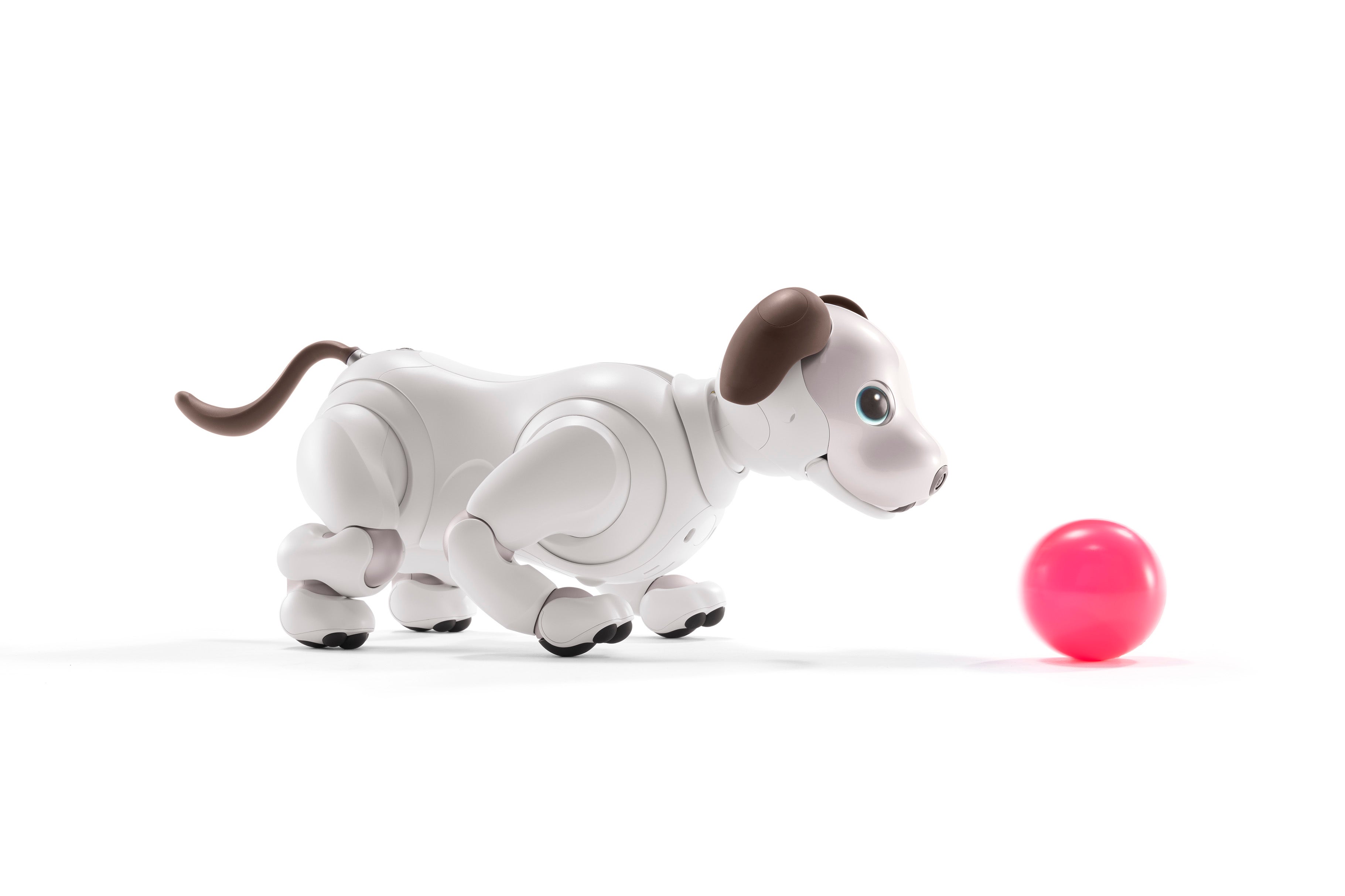 レンタル] ソニー エンタテインメントロボット aibo アイボリー