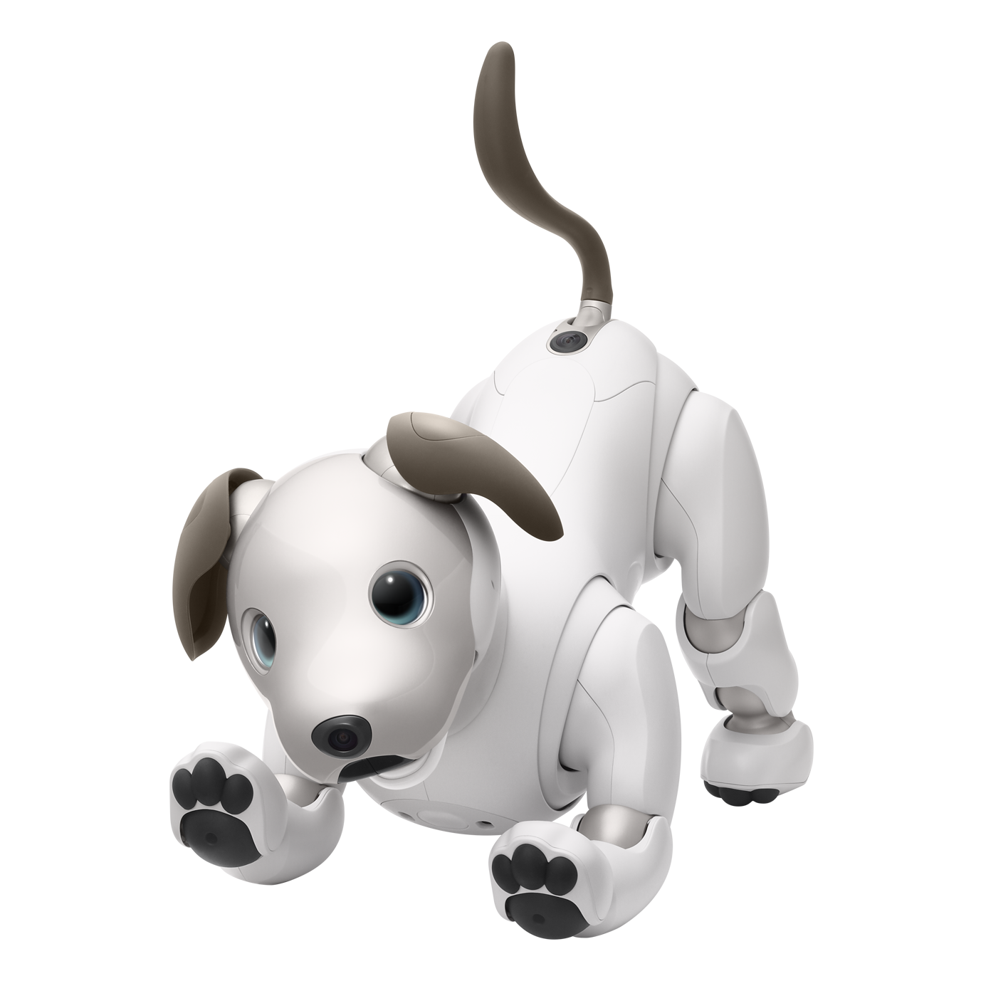 SONY aibo【ERS-1000】 | www.innoveering.net