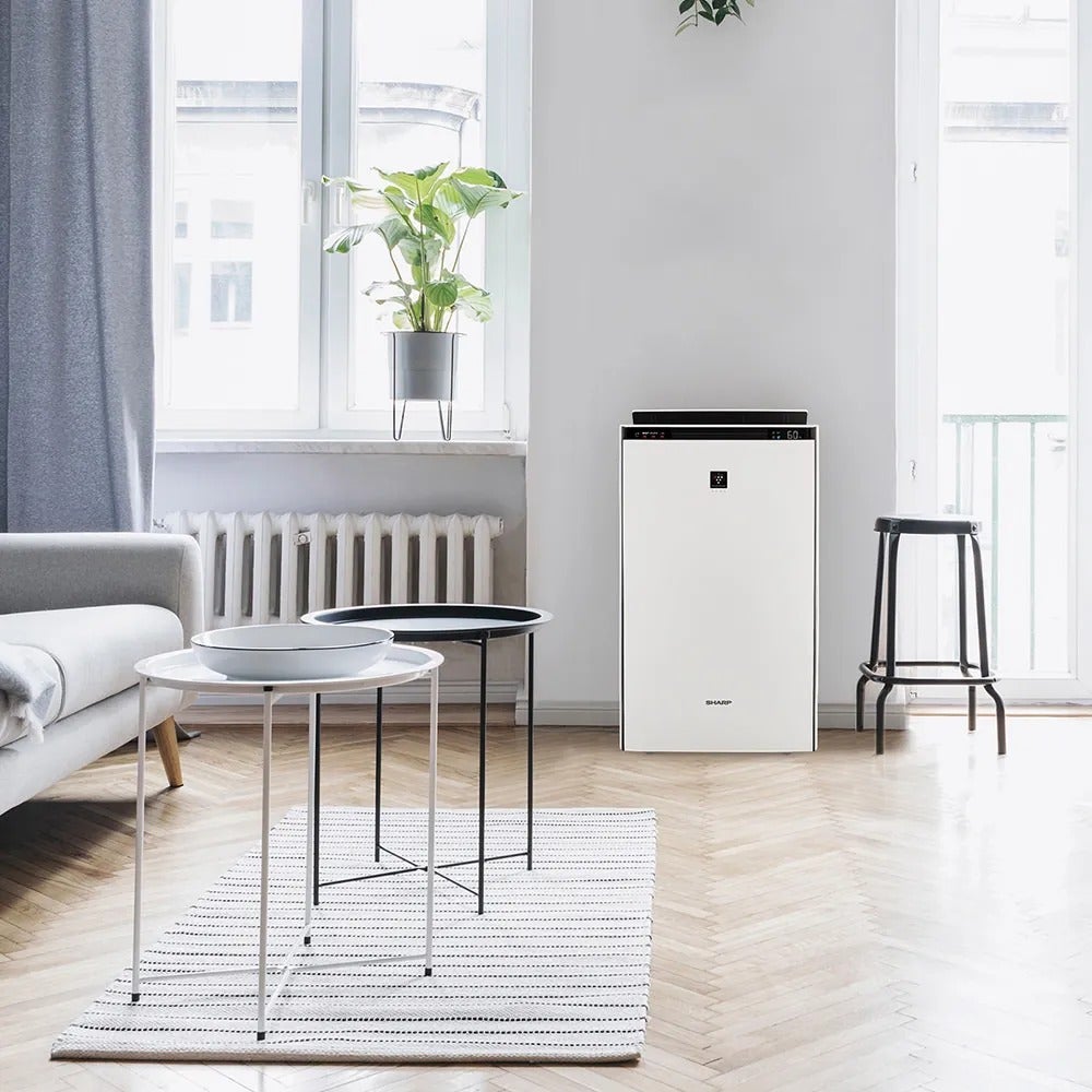 [レンタル] シャープ 加湿空気清浄機 プラズマクラスターNEXT KI-SX70 (空気清浄〜31畳 / 加湿〜最大21畳) - 6