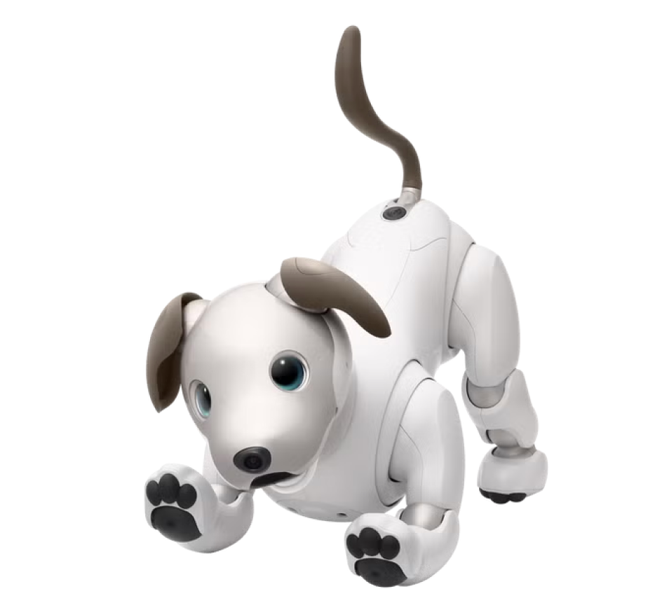 ペットロボット・コミュニケーションロボット