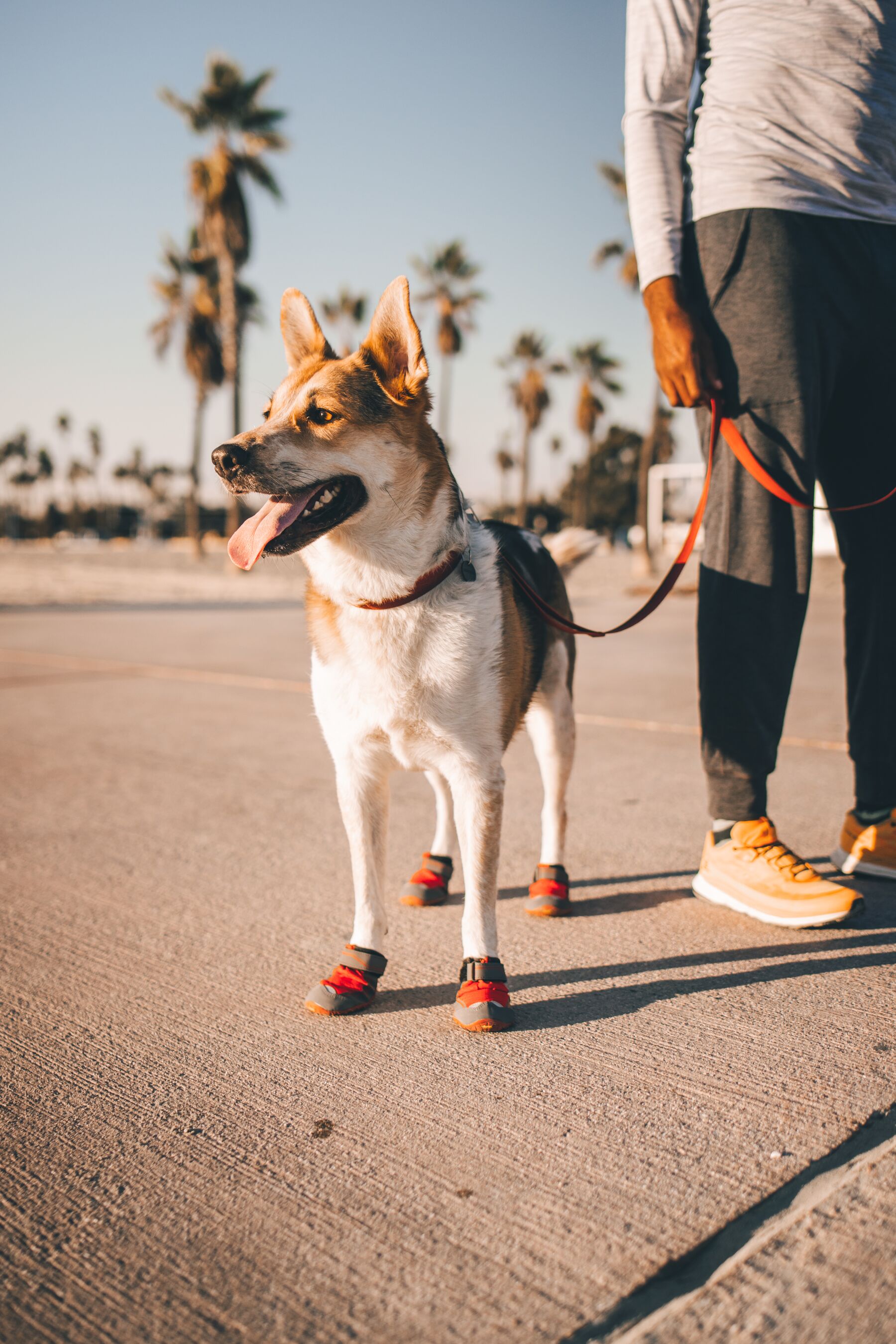 [レンタル] RUFFWEAR(ラフウェア) グリップトレックスブーツ - 6