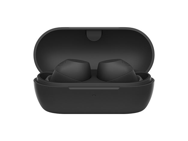 [レンタル] ソニー ワイヤレスノイズキャンセリングステレオヘッドセット WF-C710N - 8