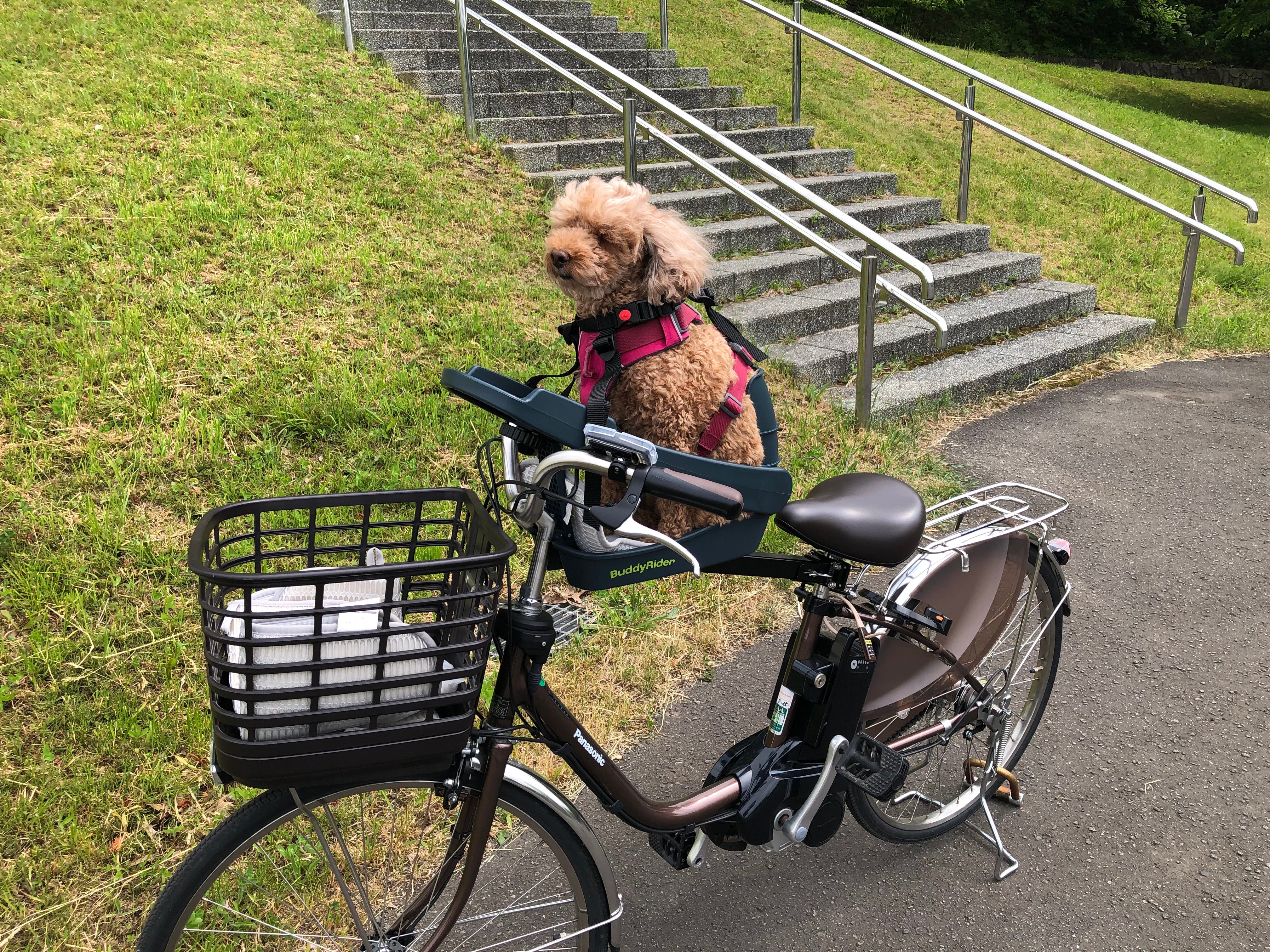 口コミ] Buddy Rider シリーズ2 自転車取付用ペットシートの