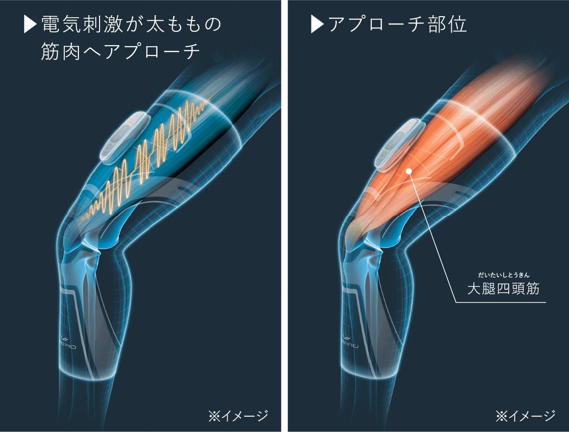 [レンタル] MTG SIXPAD Knee Fit(ニーフィット) SE-AY Knee Fit専用コントローラー セット - 6