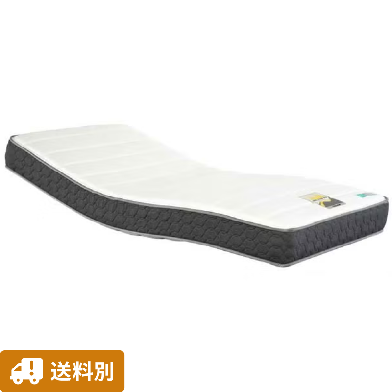 【送料別 / セミダブル】フランスベッド リクライニング用スプリングマットレス(RX-STD-EX) セミダブルサイズ