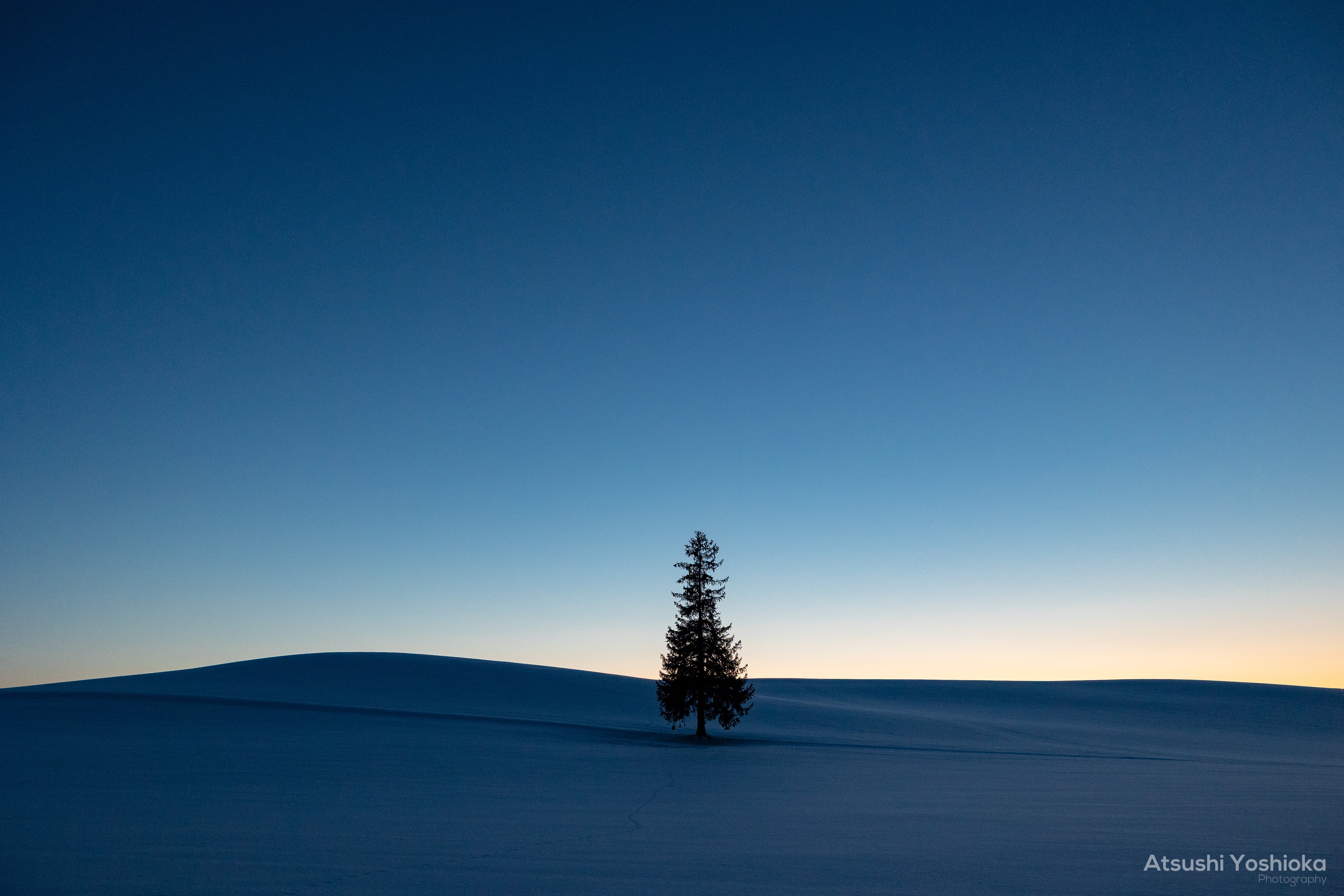 [レンタル] CANON RF24-70mm F2.8 L IS USM 標準ズームレンズ - 9