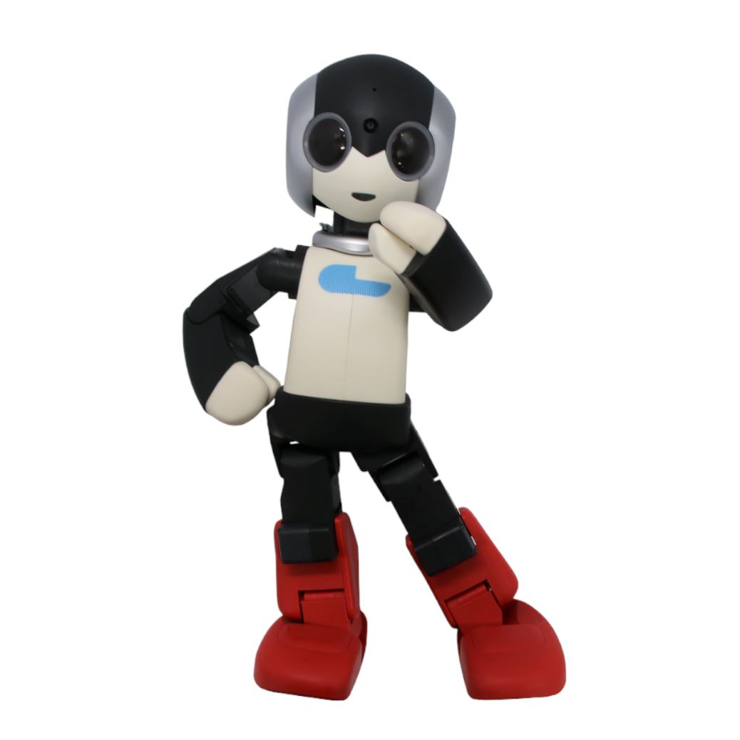 オ*ん様 デアゴスティーニ　ロビ2 完成品(動作確認済) ロビ2 デアゴスティーニRobi2 完成品