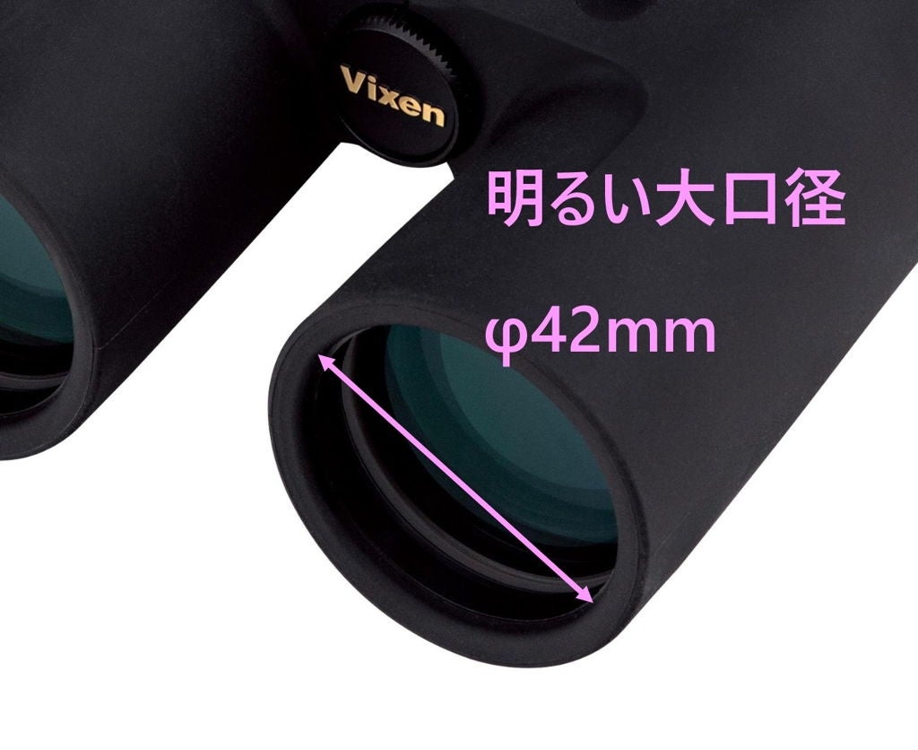 [レンタル] [倍率10倍]ビクセン APEX J HR10x42WP 双眼鏡 - 8