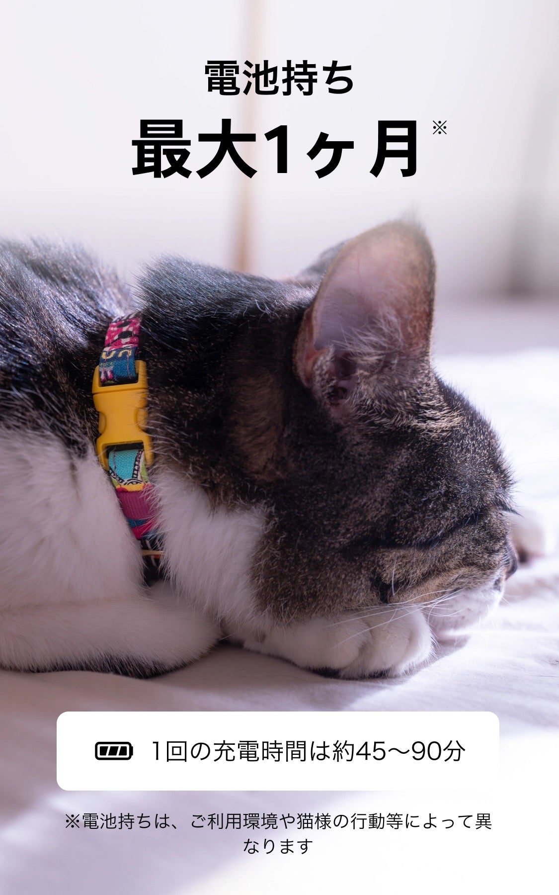 [レンタル] [色はランダムでお届け]Catlog（キャトログ）基本セット 第一世代 - 10