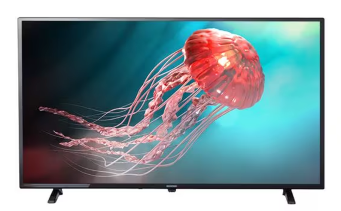 アイリスオーヤマ 40V型 2K液晶テレビ LT-40E420