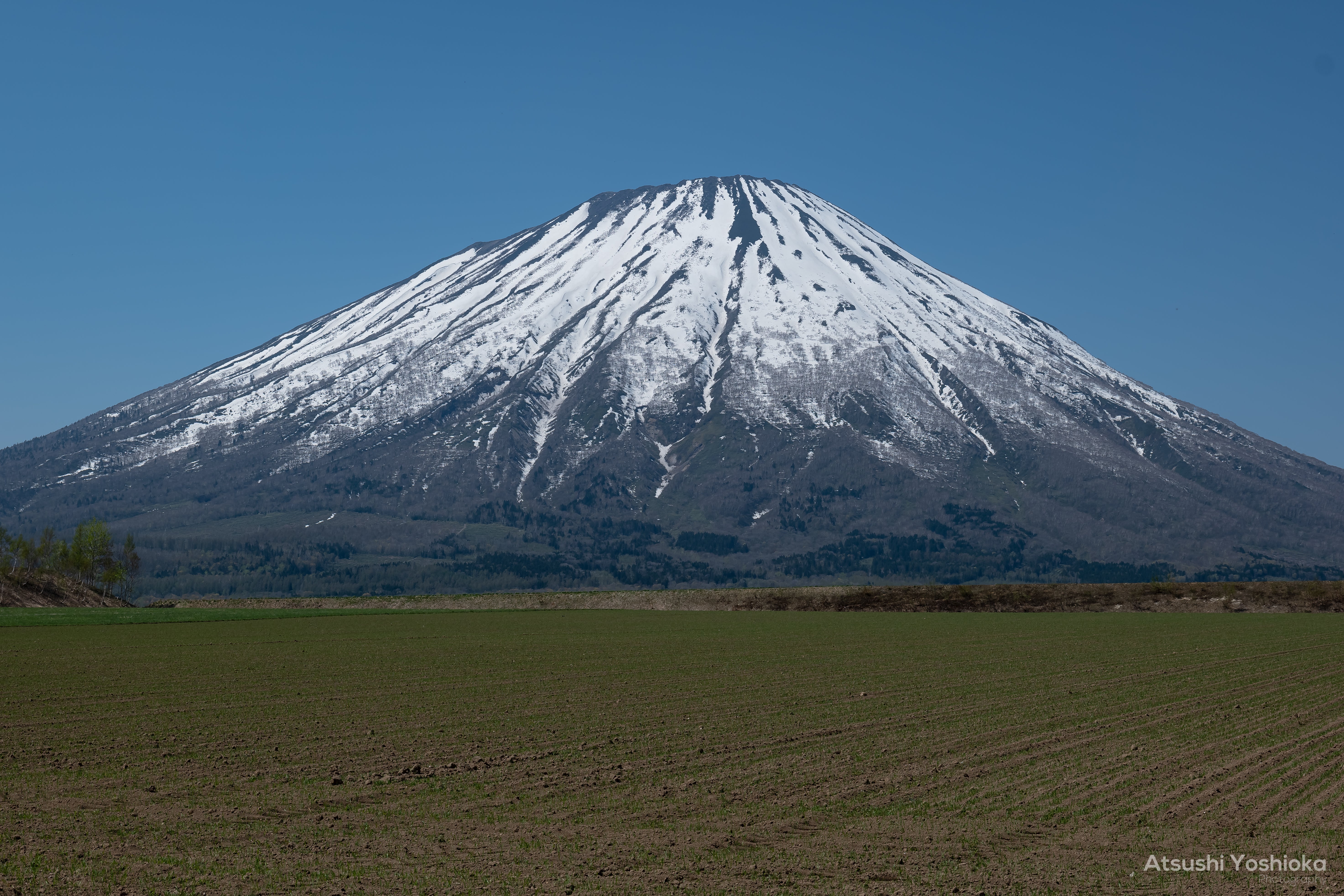 [レンタル] パナソニック LUMIX DC-S1 ボディ ミラーレス一眼 - 6