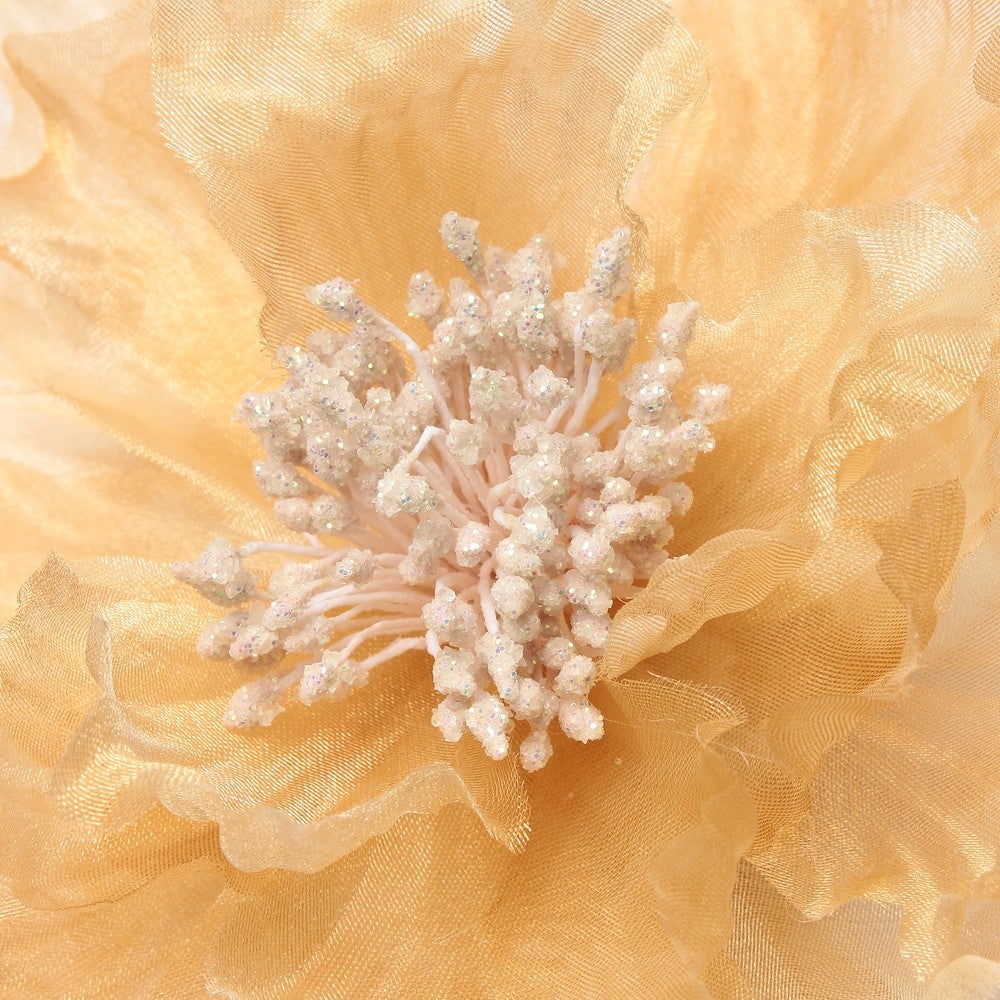 [レンタル] レディース ゆるふわフラワーモチーフ コサージュ ベージュ