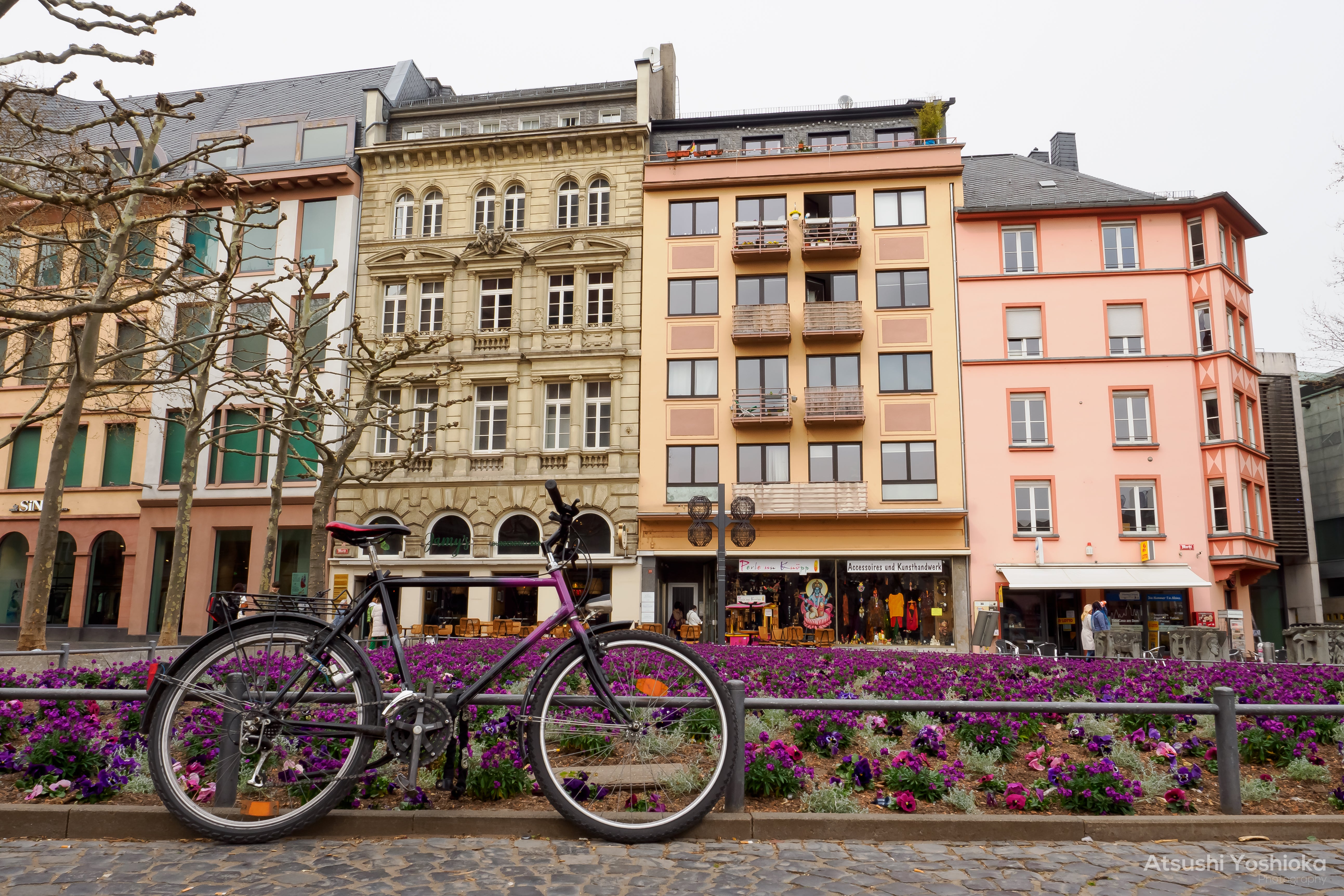 [レンタル] OM SYSTEM OM-1 ボディ ミラーレス一眼 - 7