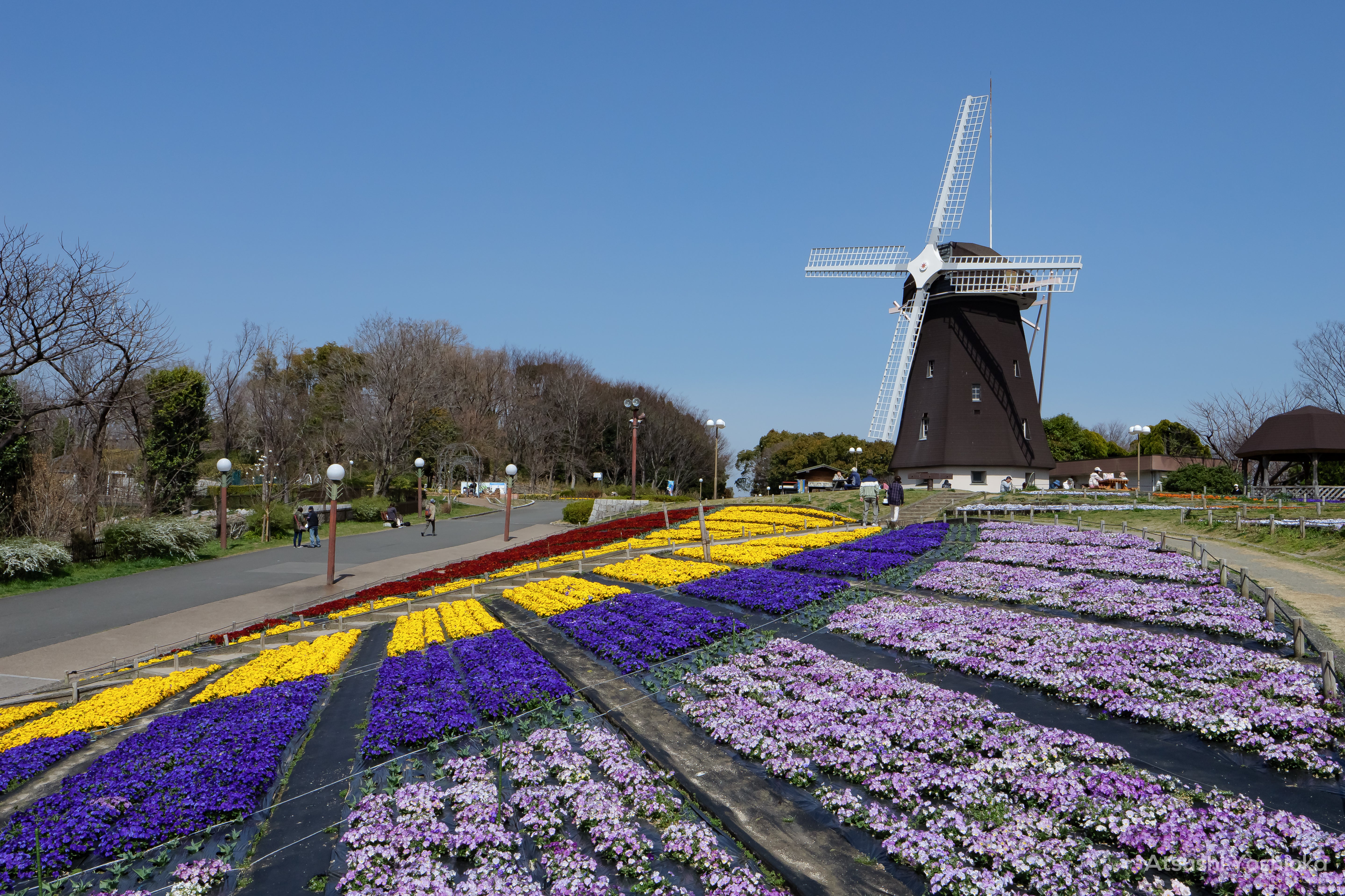 [レンタル] パナソニック LUMIX DC-GH6 ボディ ミラーレス一眼 - 7