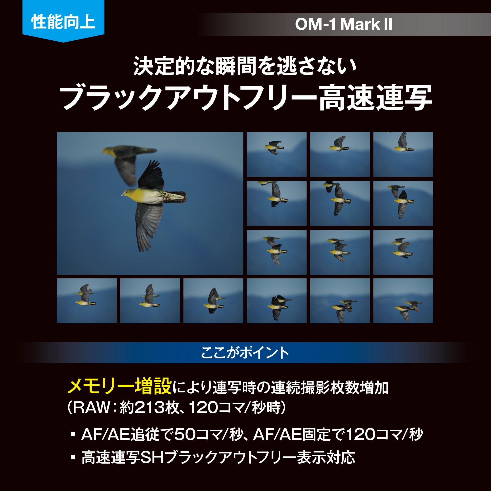 [レンタル] [発表会・野鳥・ペンサ] OM SYSTEM OM-1 Mark II ＆ M.ZUIKO DIGITAL ED 100-400mm F5.0-6.3 IS II 望遠ズームレンズセット - 7