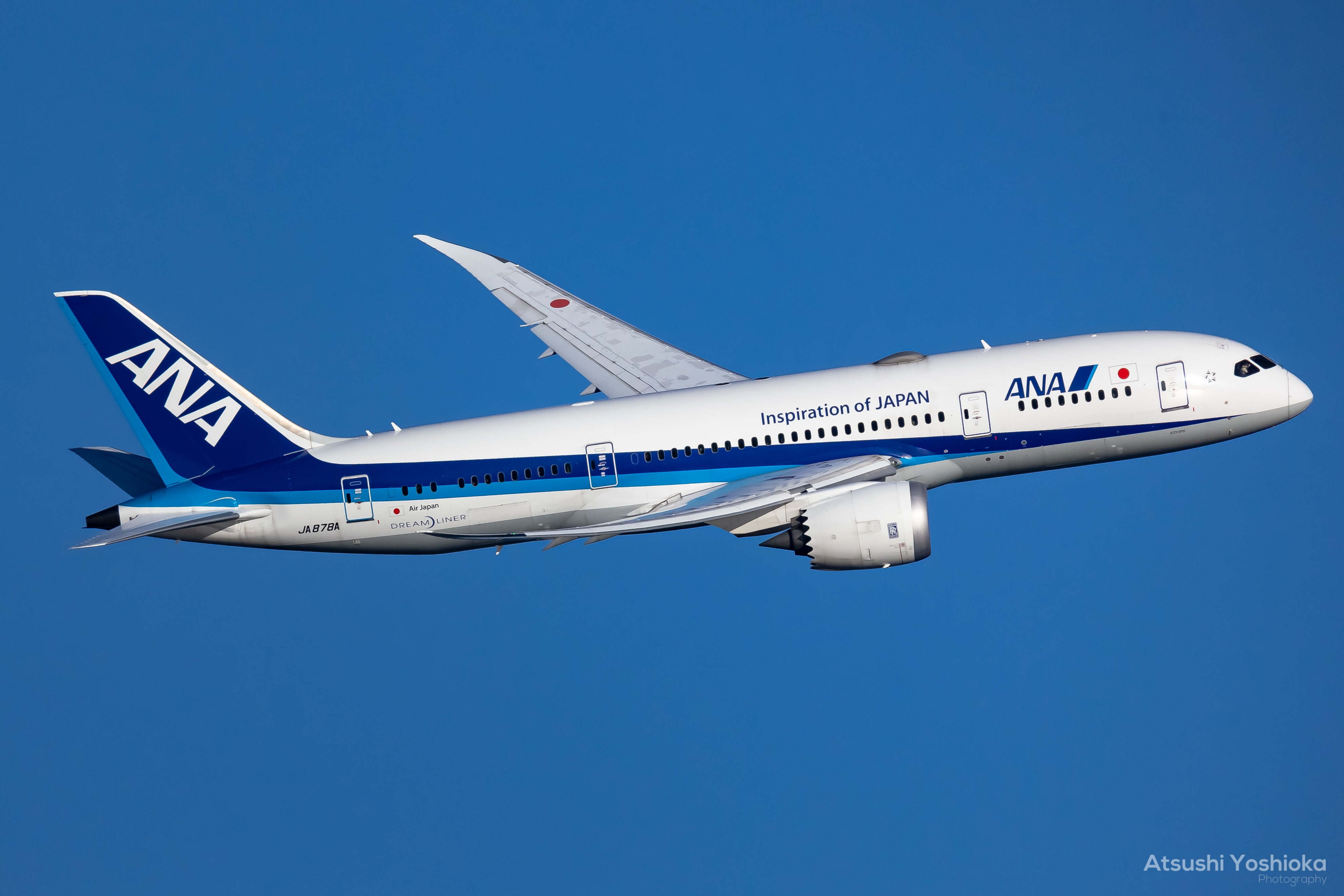 [レンタル] CANON RF800mm F11 IS STM 単焦点レンズ - 6