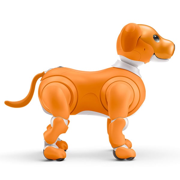 レンタル] ソニー エンタテインメントロボット aibo キャラメル