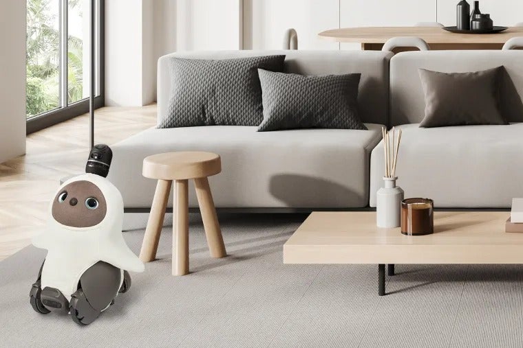 [レンタル] LOVOT 2.0(らぼっと) ソロ - 9