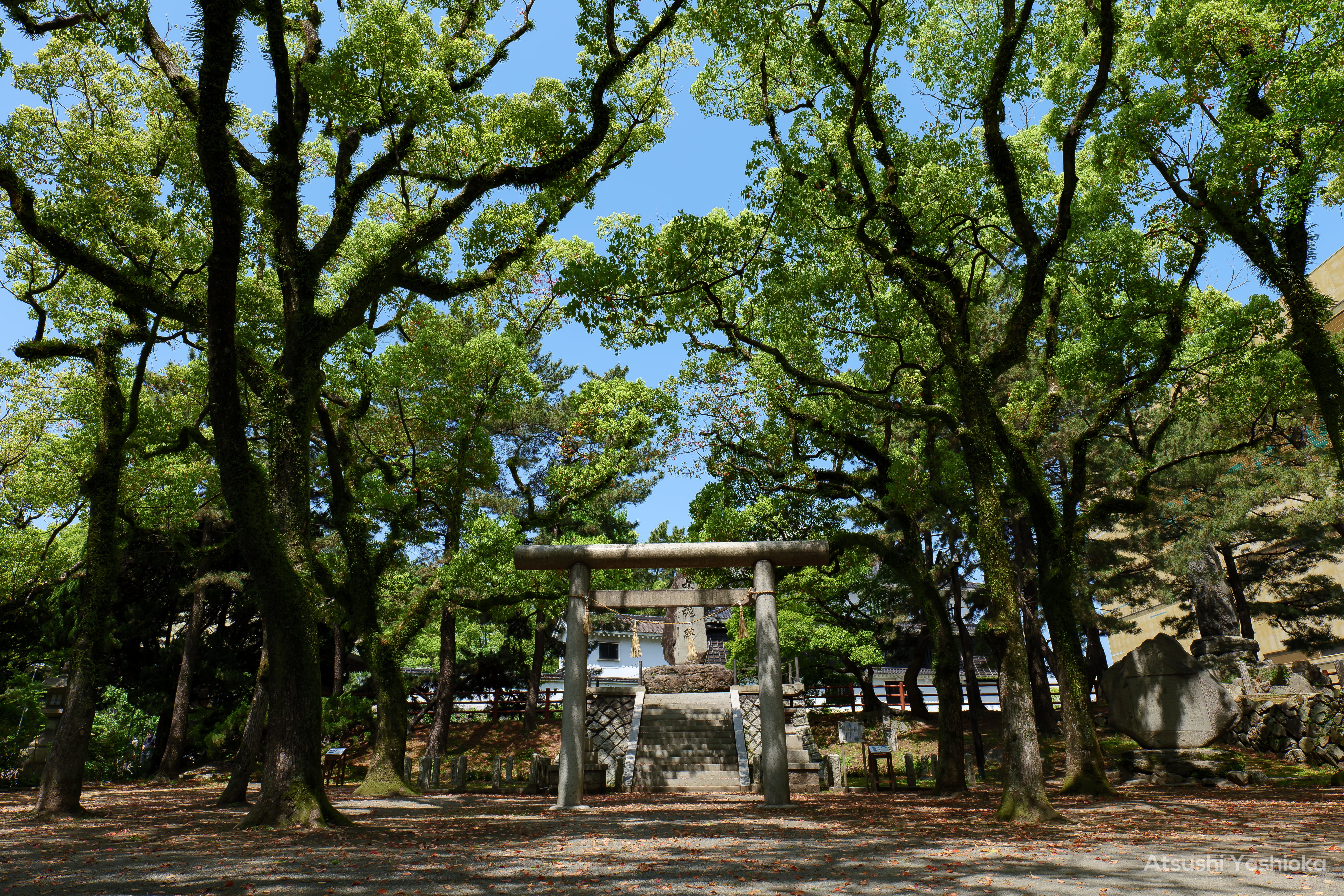 [レンタル] パナソニック LUMIX DC-S5 標準ズームレンズキット ミラーレス一眼 - 7