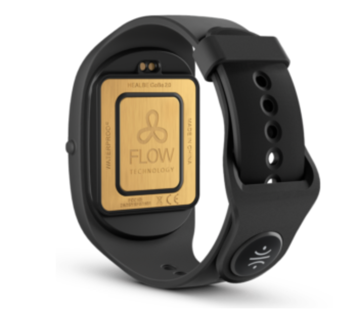 [レンタル] HEALBE GoBe2 ウェアラブルウォッチ ブラック - 4