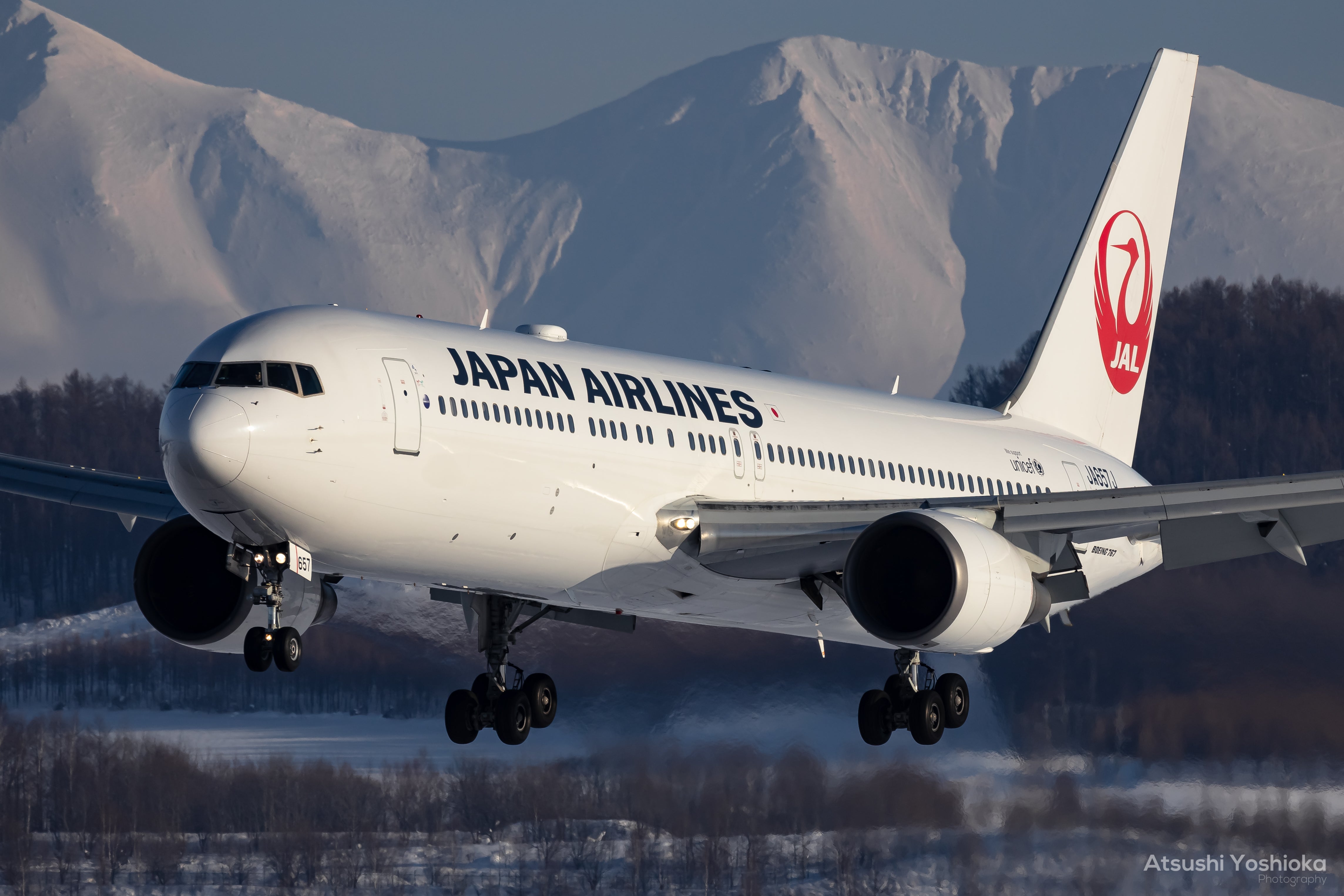 [レンタル] CANON RF600mm F11 IS STM 超望遠単焦点レンズ - 6