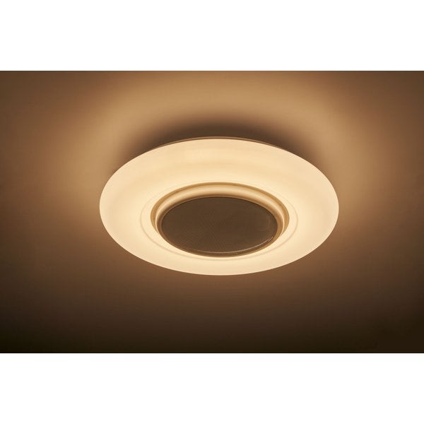 レンタル] ドウシシャ Bluetooth スピーカー搭載 シーリング