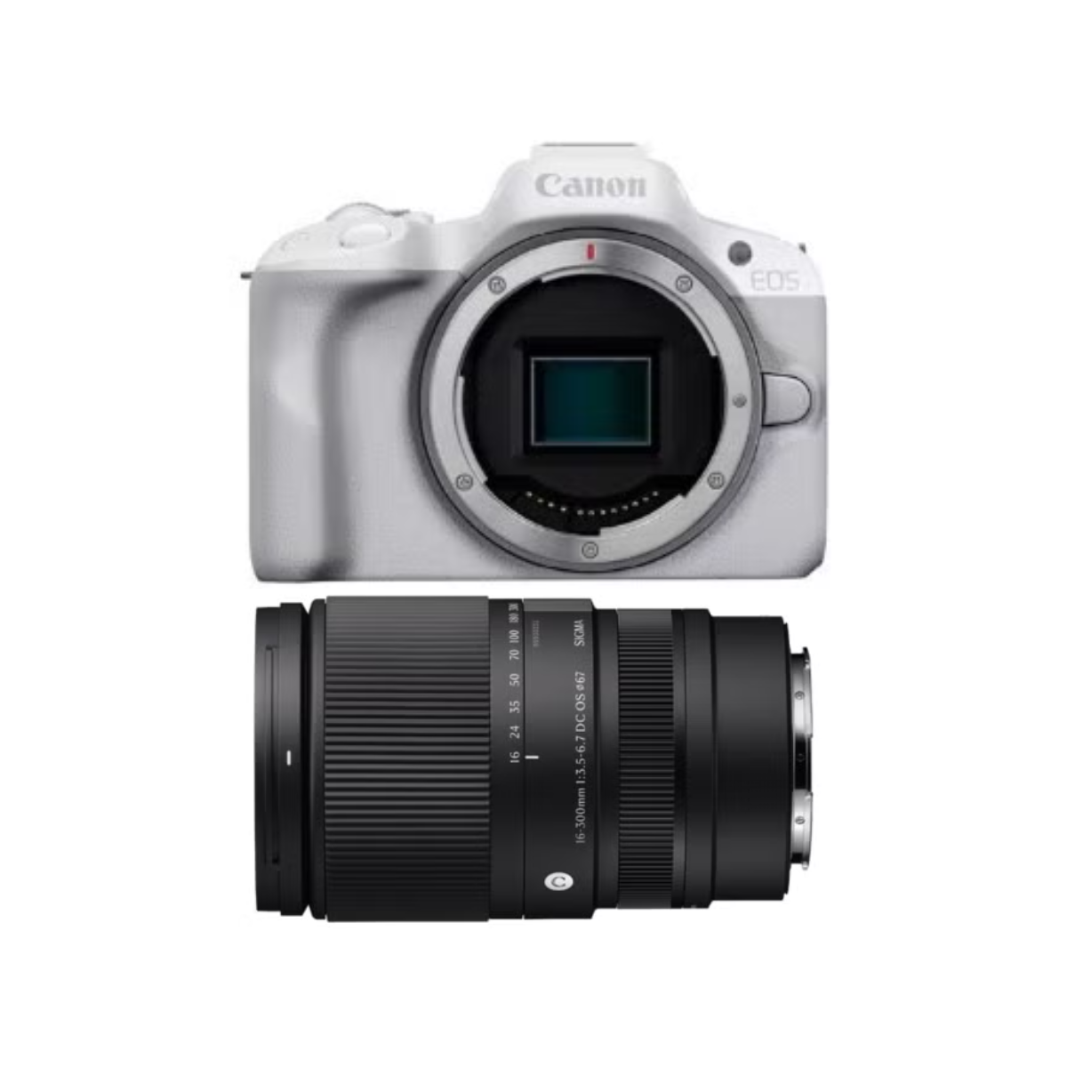 [レンタル] CANON EOS R50とシグマの便利ズームレンズ(16-300mm)セット ミラーレス一眼 ホワイト