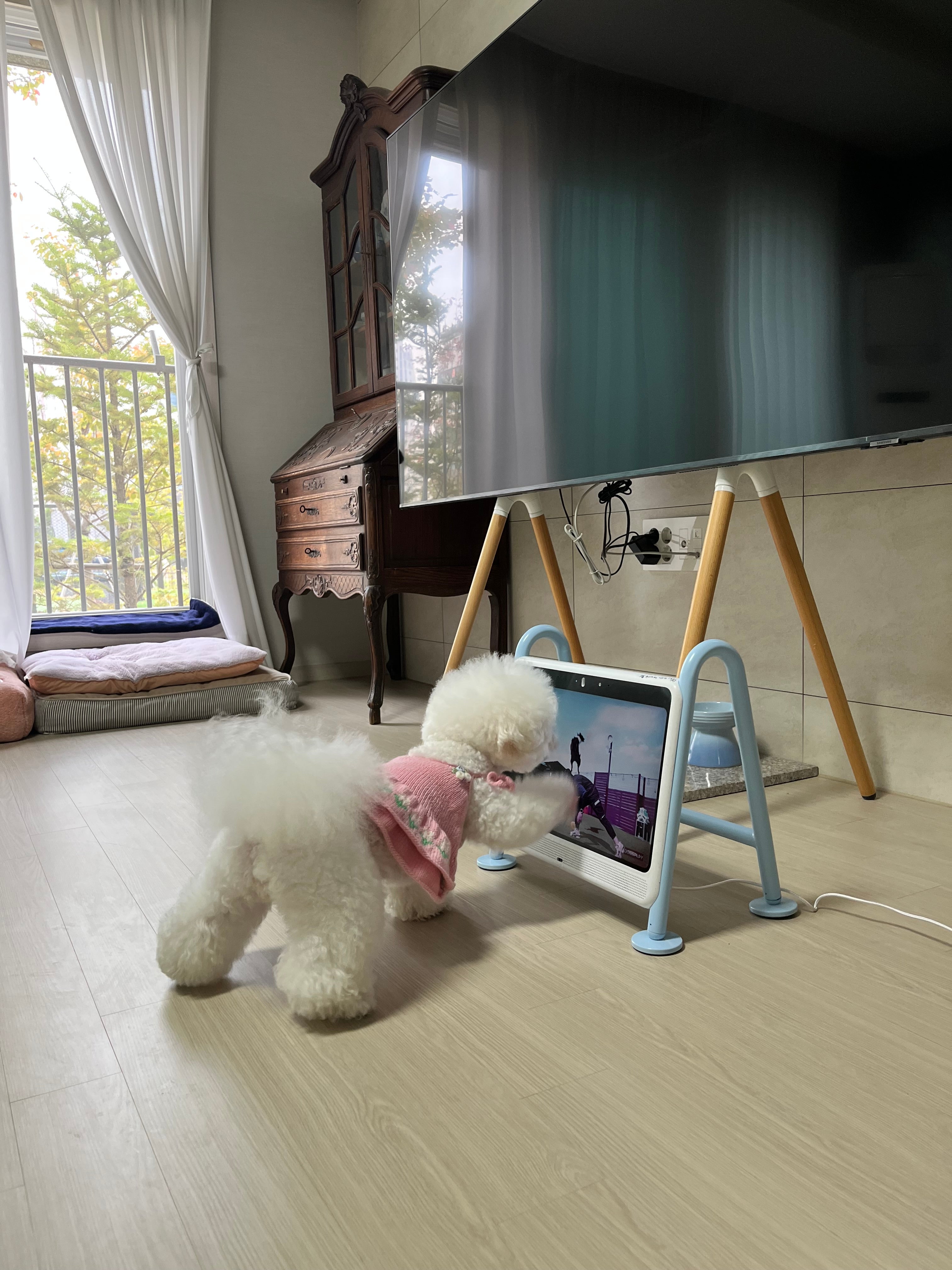 [レンタル] サニーウェーブテック Dogsplay 犬用ディスプレイ - 8