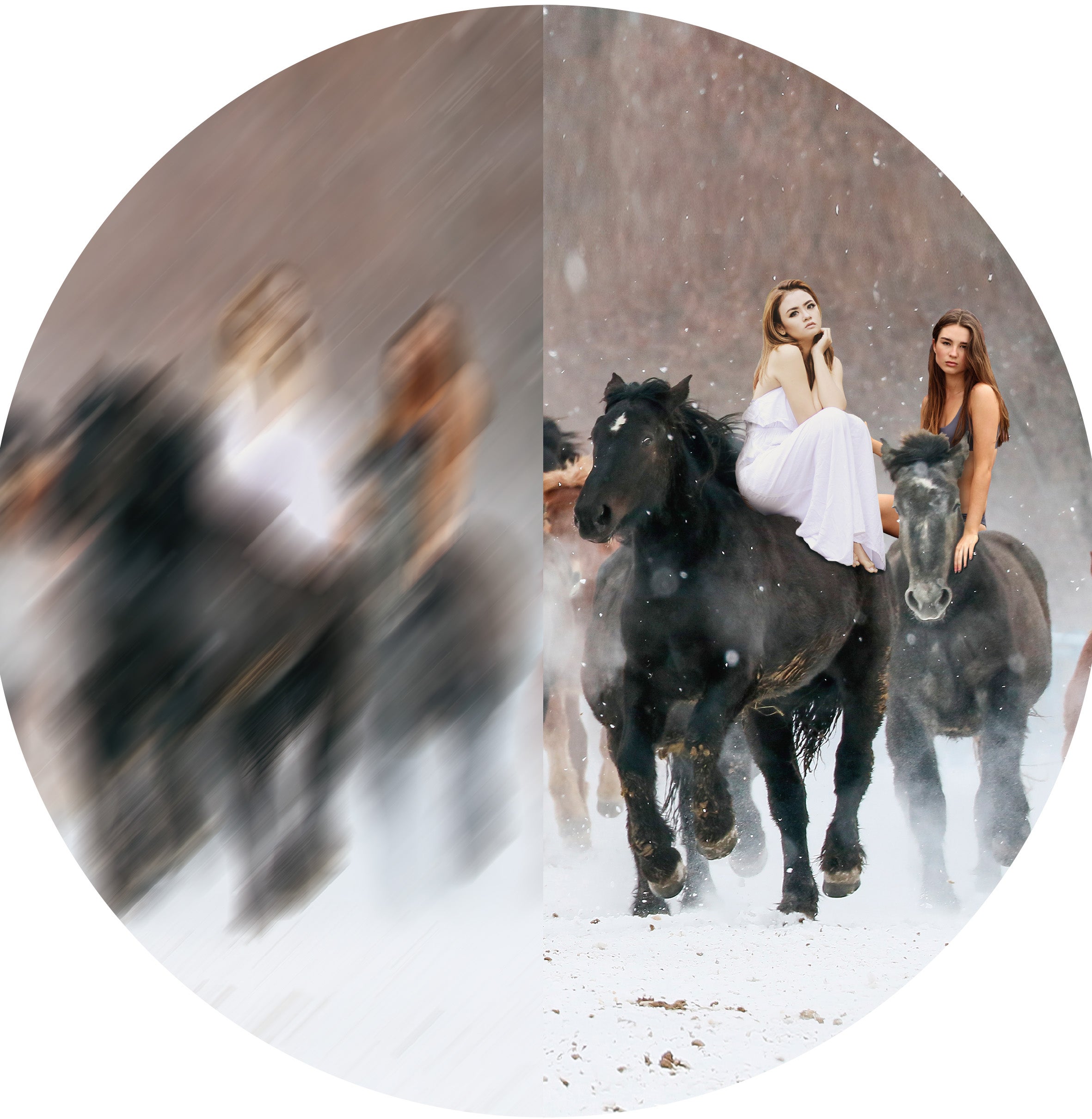 [レンタル] [倍率12倍] 阪神交易 シリウス12 12×21 コンサート・ライブ向け 防振双眼鏡 完全防水 - 4