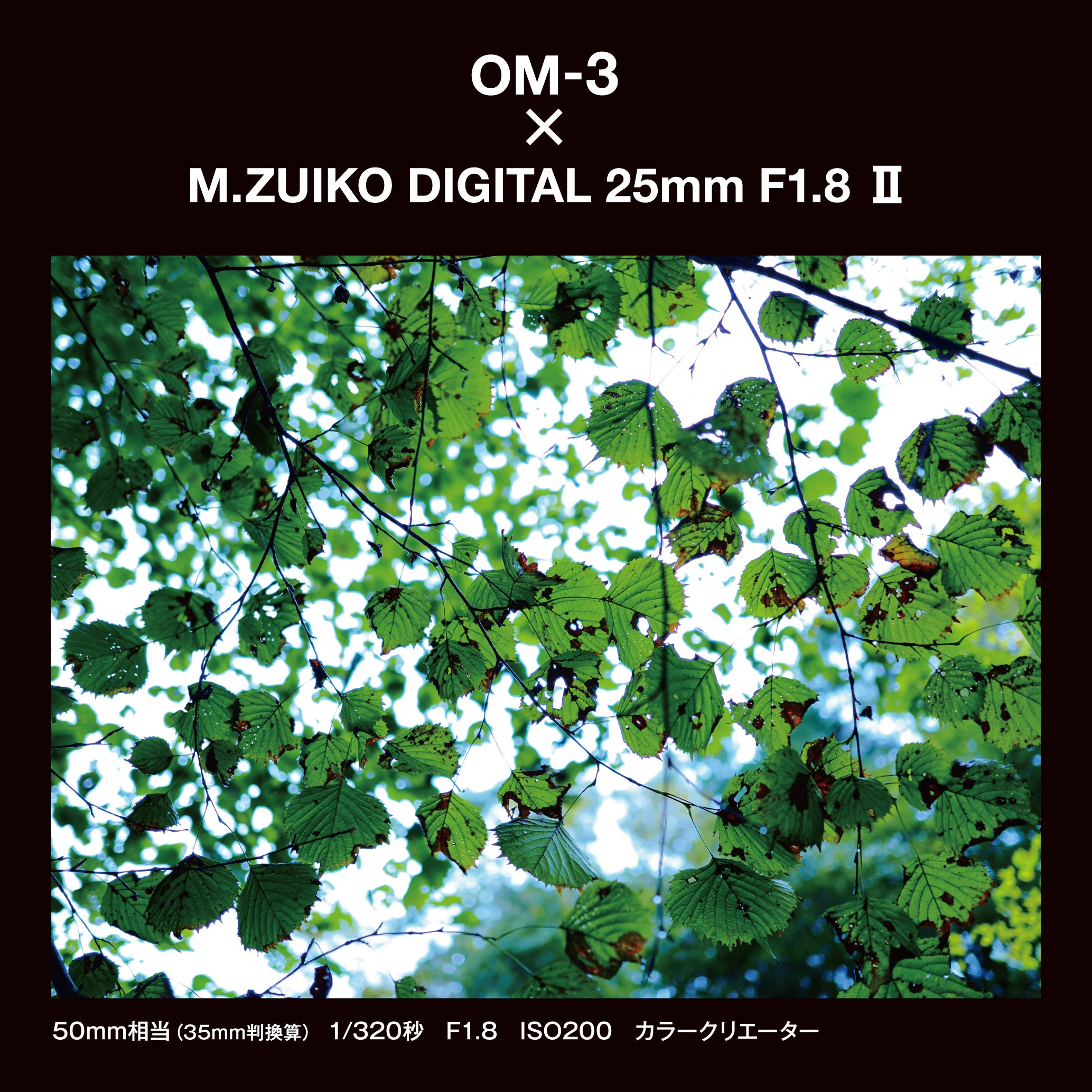 [レンタル] OM SYSTEM M.ZUIKO DIGITAL 25mm F1.8 II 単焦点レンズ - 8