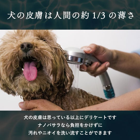 [レンタル] NanoWasala(ナノバサラ) 高速ナノバブル水ジェネレーター - 12