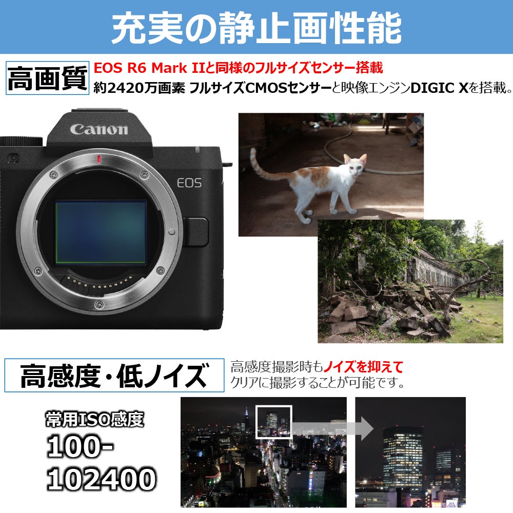 [レンタル] CANON EOS R8 Mark II ボディ ミラーレス一眼 - 5