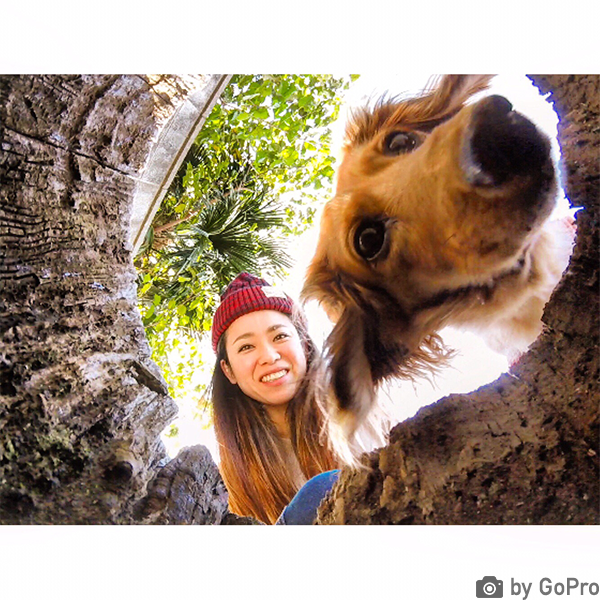 [レンタル] GoPro HERO5 Black - 9