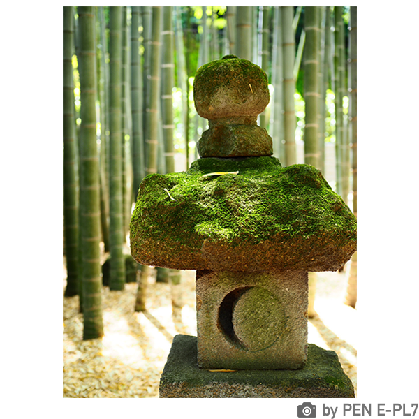 [レンタル] OLYMPUS PEN E-PL7 ボディ ブラック ミラーレス一眼 - 4