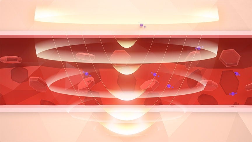 [レンタル] パナソニック 高周波治療器 コリコランワイド EW-RA550(肩用セット) - 7