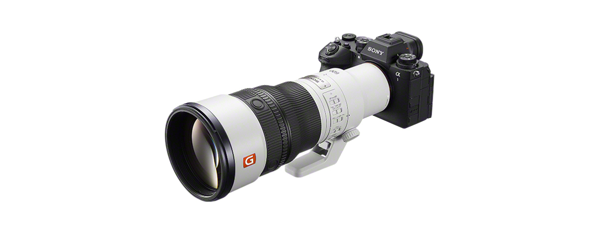 ソニー FE 600mm F6.3 GM OSS SEL600F63GM 超望遠 カメラ装着時 - 5