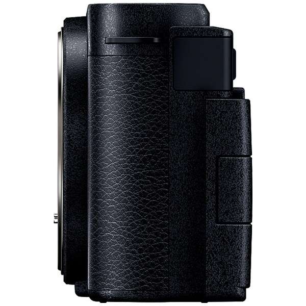 [レンタル] パナソニック LUMIX DC-S9 ボディ ミラーレス一眼 - 8