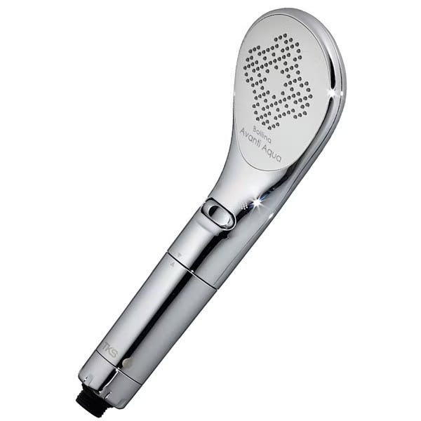 AVANTI アバンティ　キーホルダー　ライスシャワー　ビワハヤヒデ1993年 美品 新品同様 1993年度代表馬 ビワハヤヒデ アバンティーの通販